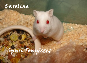 caroline.bmp caroline.bmp