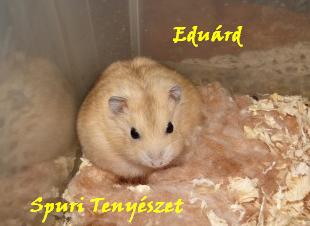 eduard.bmp eduard.bmp