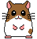 hamster032.gif hamster032.gif