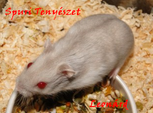 leonard.bmp leonard.bmp